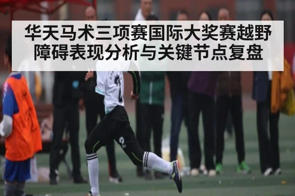 华天马术三项赛国际大奖赛越野障碍表现分析与关键节点复盘